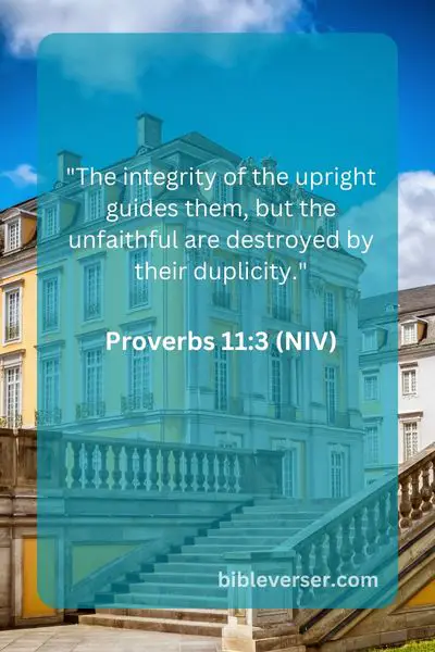 Proverbs 11_3 (NIV)