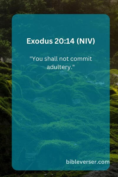 Exodus 20:14 (NIV)