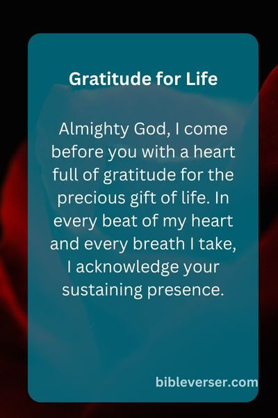 Gratitude for Life