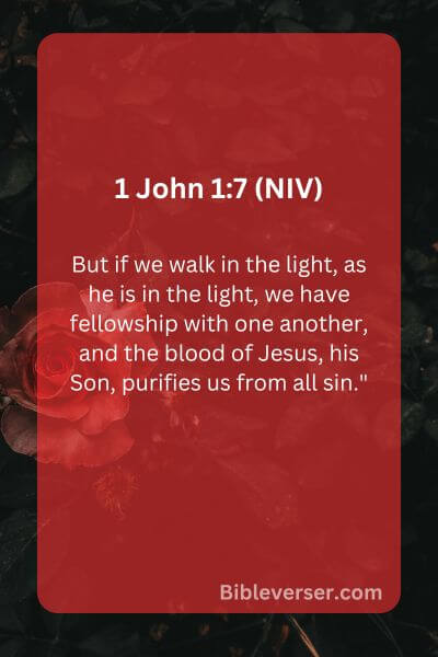1 John 1:7 (NIV)