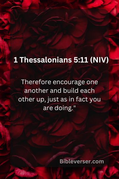 1 Thessalonians 5:11 (NIV)