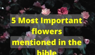 5 Most Important flowers mentioned in the bible