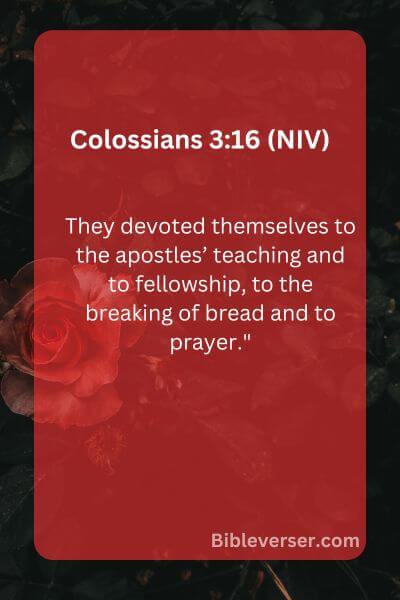Colossians 3:16 (NIV)
