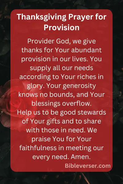 Thanksgiving Prayer for Provision