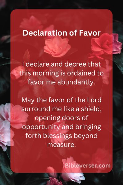 Declaration of Favor