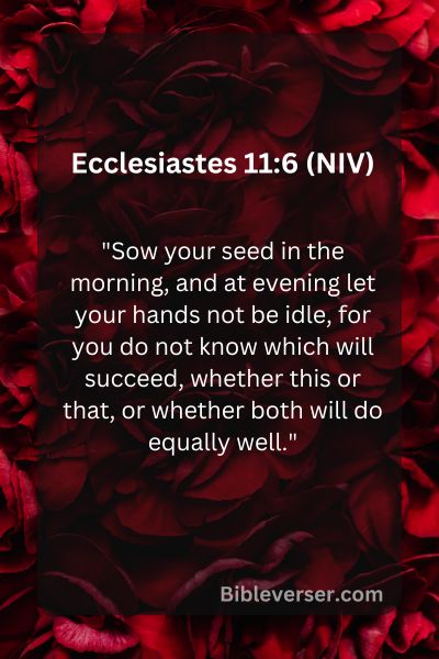 Ecclesiastes 11:6 (NIV)