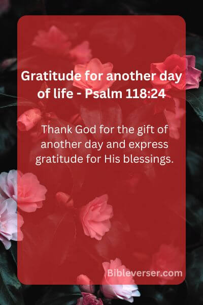 Gratitude for another day of life - Psalm 118:24