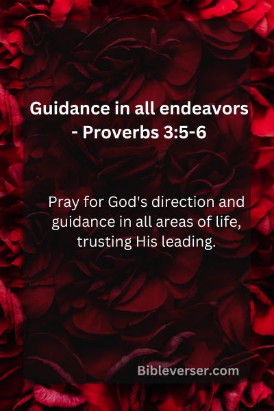 Guidance in all endeavors - Proverbs 3:5-6