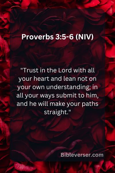 Proverbs 3:5-6 (NIV)