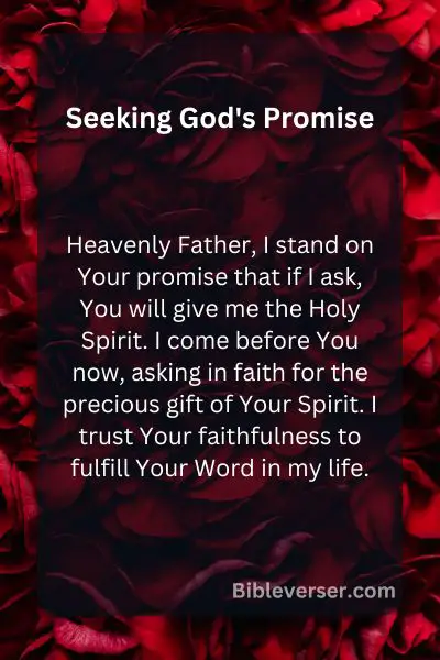 Seeking God's Promise