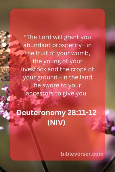 Deuteronomy 28:11-12 (NIV)