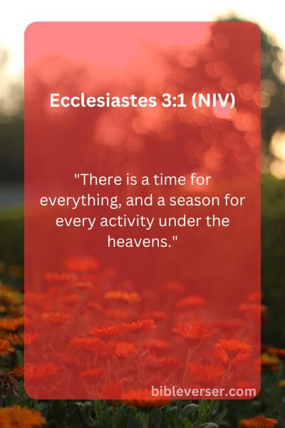 Ecclesiastes 3:1 (NIV)