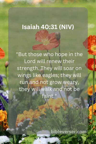 Isaiah 40:31 (NIV)