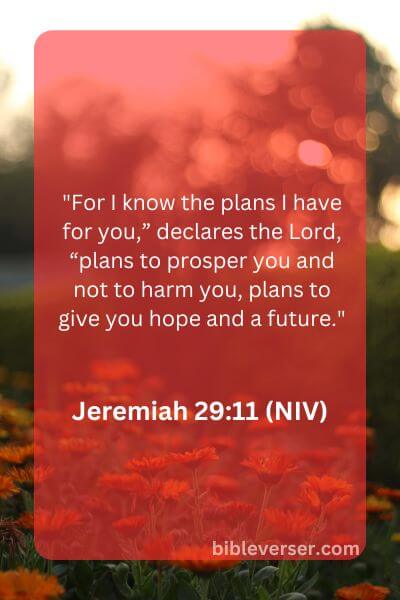 Jeremiah 29:11 (NIV)