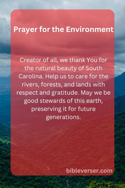 Prayer for the Environment