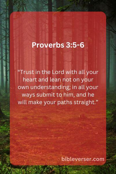 Proverbs 3:5-6