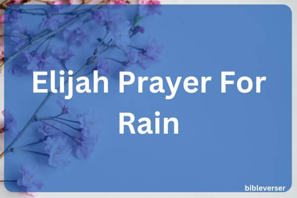 Elijah Prayer For Rain